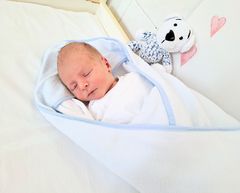Mateo Kardoš