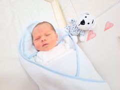 Sebastian Tarkan Kömür
